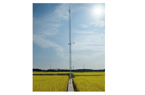 CFK site photos