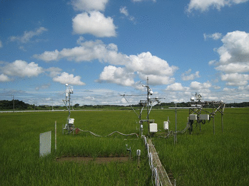 MSE site photos