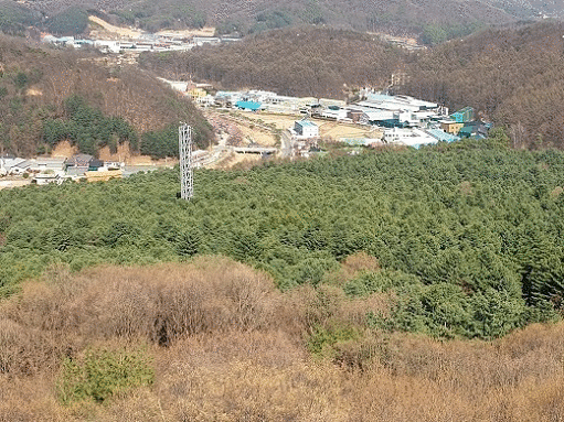 TCK site photos