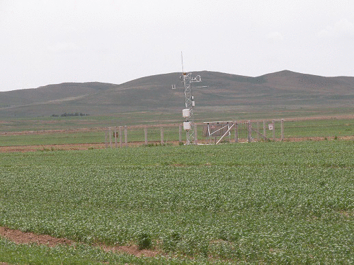 D02 site photos
