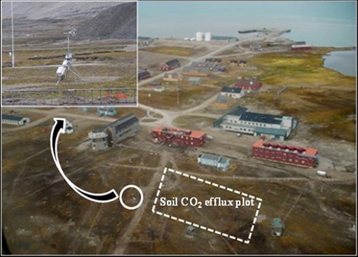 DTK site photos