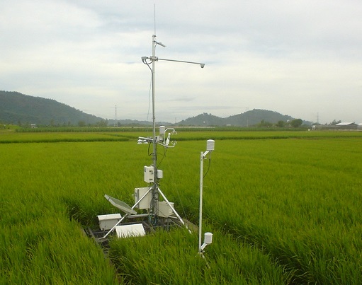 IRI site photos