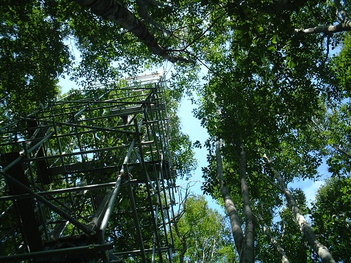 NBB site photos