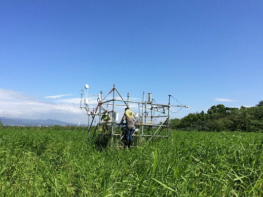 GDP site photos