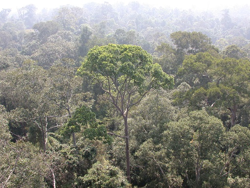 PSO site photos