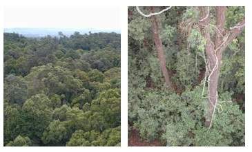 SKR site photos