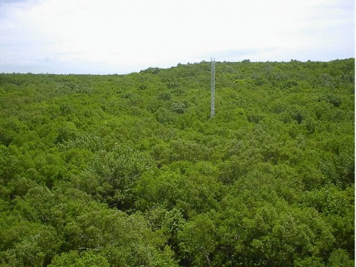 SAP site photos