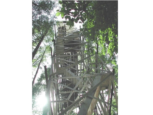 LSH site photos