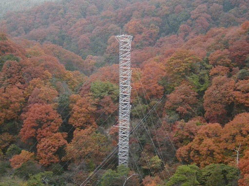 YMS site photos