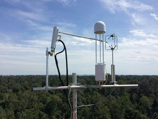DTP site photos